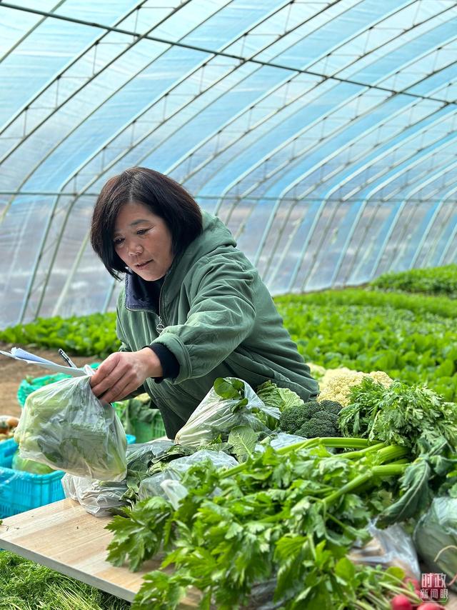 精准内部资料长期大公开,时政新闻眼丨习近平赴天津，这一趟考察的温暖与深意