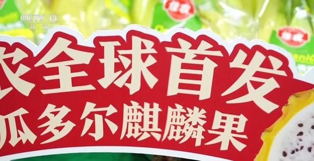 2024正版资料大全免费_新闻周刊丨老朋友回归、“朋友圈”扩大 这届进博群英“惠”聚