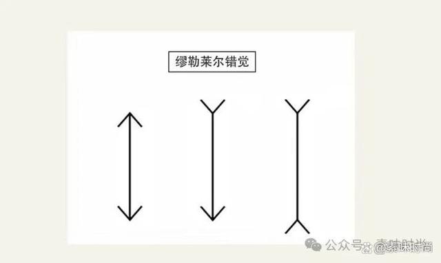 2024年澳门正版资料大全_七大显高显瘦穿衣小技巧，掌握了看起来至少瘦10斤！  第8张