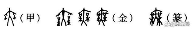 管家婆一码中一肖2024,翟晋闻：浅谈草书与舞蹈的艺术共性