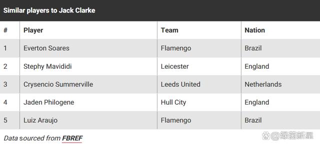 2024澳门精准正版资料,下一个贝尔就在其中！被英超球队盯上的12位英冠球星！