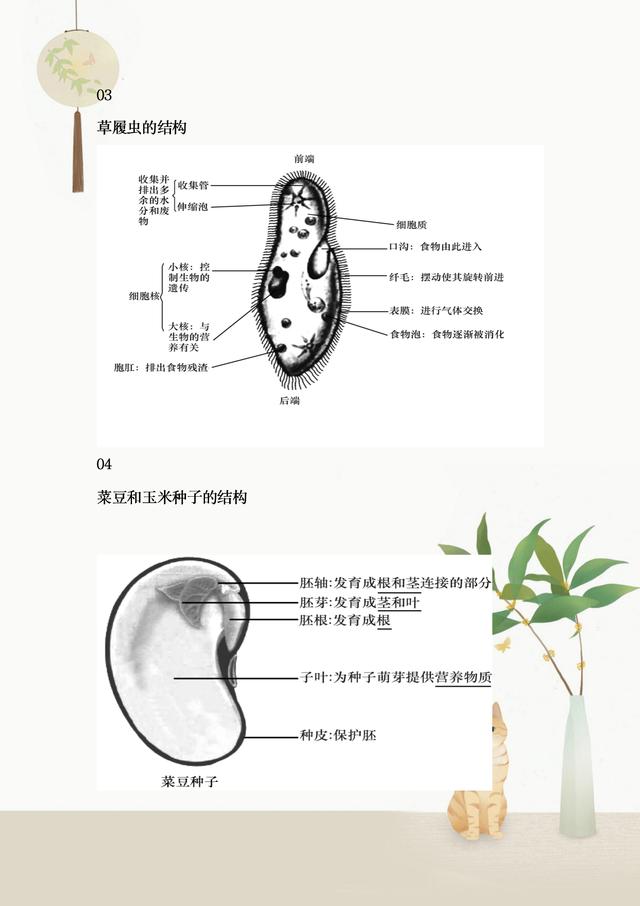 二四六香港免费开将记录,初中生物全册知识结构图，整理完整，重点班笔记，收藏学习提高  第2张