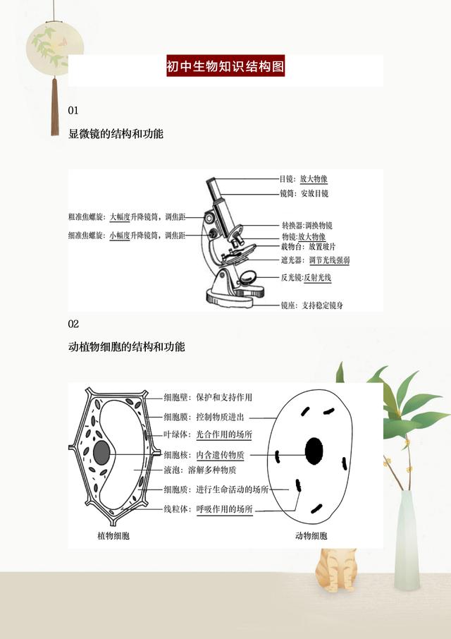 二四六香港免费开将记录,初中生物全册知识结构图，整理完整，重点班笔记，收藏学习提高