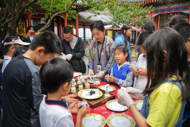 澳门正版资料大全资料_植物观察、中国画创作，颐和园设青少年桂花文化体验专场  第2张