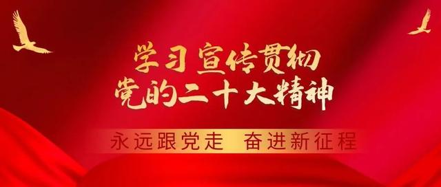 新澳2024管家婆资料_「要闻」回民区开展警示教育主题党日活动