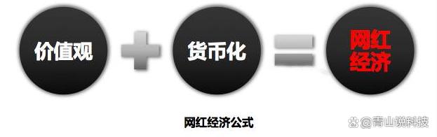 管家婆八肖版资料大全,网红经济：互联网科技与娱乐的完美结合