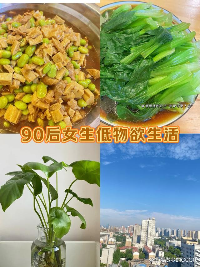 2024今晚澳门开奖结果查询,90后的低物欲，极简生活，真的既轻松又快乐，还会上瘾！