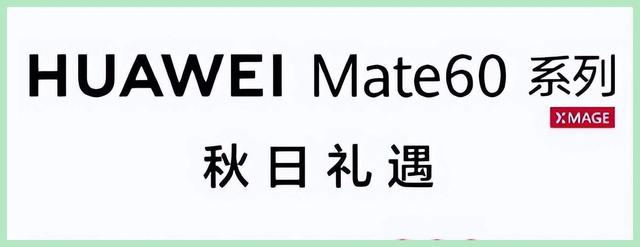 2024澳门精准正版资料大全_国内手机大洗牌，华为沦为陪跑，小米排第五，第一名让人意外  第4张