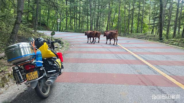 2024年澳门精准资料大全_秦岭摩旅记（3）——太洋公路，自驾黄柏塬的网红经典之路  第7张