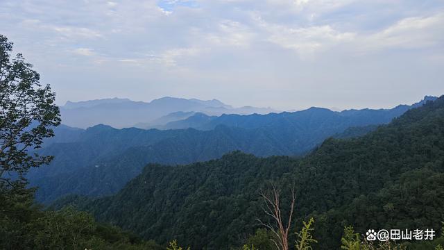 2024年澳门精准资料大全_秦岭摩旅记（3）——太洋公路，自驾黄柏塬的网红经典之路  第26张