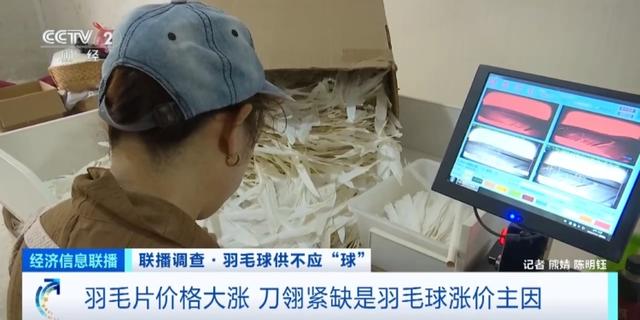 澳门今期开奖结果号码,价格“狂飙”！热销品类卖断货！这项2.5亿人参与的运动，太火爆  第8张