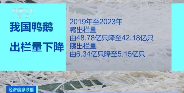 澳门今期开奖结果号码,价格“狂飙”！热销品类卖断货！这项2.5亿人参与的运动，太火爆  第11张