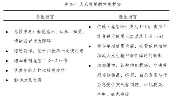 新奥资料免费精准2024,德国娱乐性大麻合法化，西方如何一步步为大麻“洗白”？