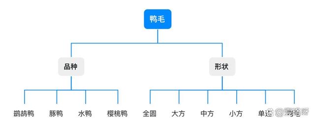 2024年新澳资料免费大全_用10年羽球经验讲透「羽毛球」怎么选！「新手必看」