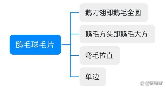 2024年新澳资料免费大全_用10年羽球经验讲透「羽毛球」怎么选！「新手必看」