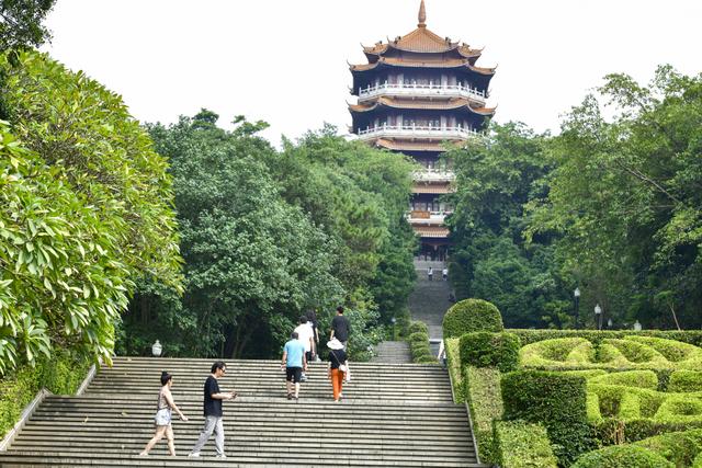 新奥资料免费精准,网红景点打卡：盐池旅游景点大全排名 自由行路线攻略