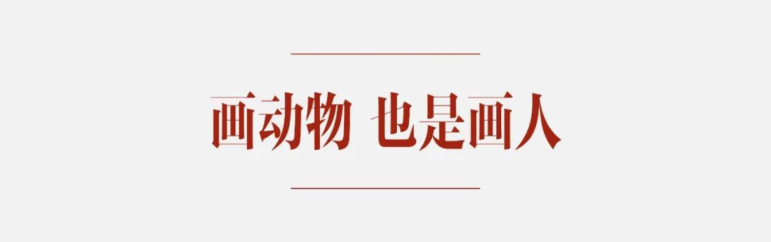 2024澳门资料大全正版_白茶画出了火出圈的「吾皇猫」，却不再看漫画