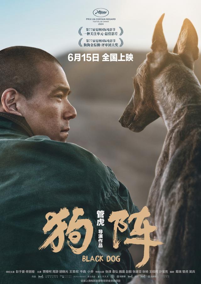 新澳门今晚开什么特马_2024院线热映电影精选，第六部豆瓣评分高达9.0，堪称年度最佳！  第9张