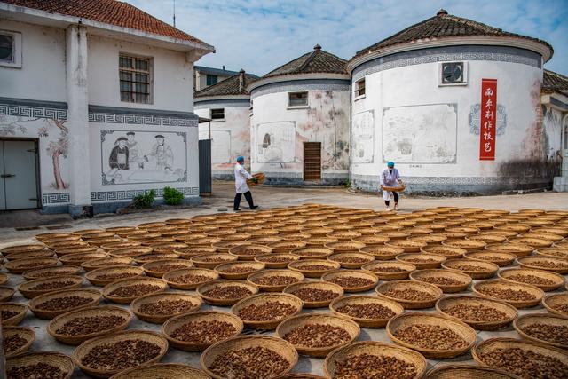 新澳现场开奖结果查询_镜观中国·新华社国内新闻照片一周精选