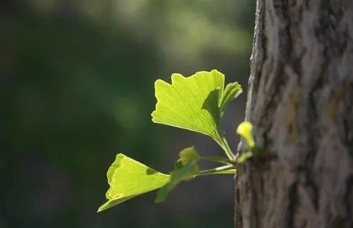 澳门一码一肖一特一中五码必中_不经历不知道什么是生活，不感悟不知道什么是人生