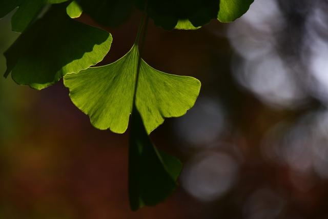 澳门一码一肖一特一中五码必中_不经历不知道什么是生活，不感悟不知道什么是人生