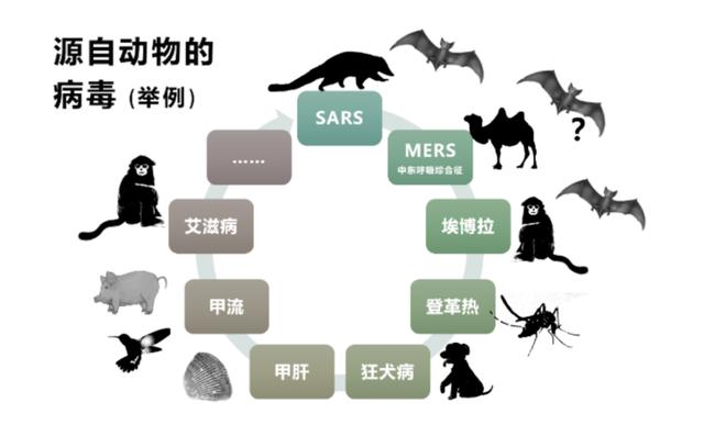 澳门必中一肖一码100精准_陆地等：被周边传播现象及其价值分析  第9张