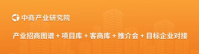 2024澳门新资料大全免费直播,2024年上半年中国IT服务行业上市公司业绩排行榜