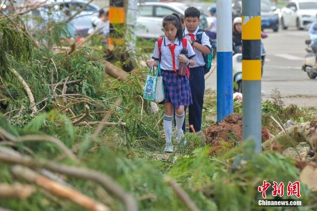 澳门六开奖结果2024开奖记录今晚直播,海口中小学、幼儿园9日起分批复学复课  第5张