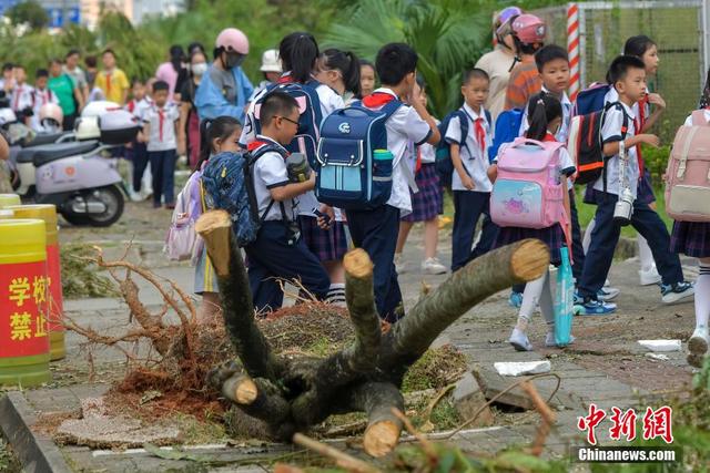 澳门六开奖结果2024开奖记录今晚直播,海口中小学、幼儿园9日起分批复学复课