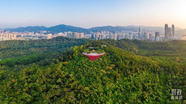 新澳资料免费精准新澳生肖卡_时政新闻眼丨习近平主持召开这场座谈会，释放哪些重要信息？  第12张