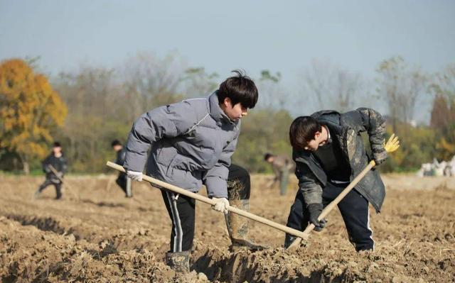 4949澳门开奖结果,2024最火的四大综艺，浪姐上榜，《歌手》屈居第二，第一实至名归