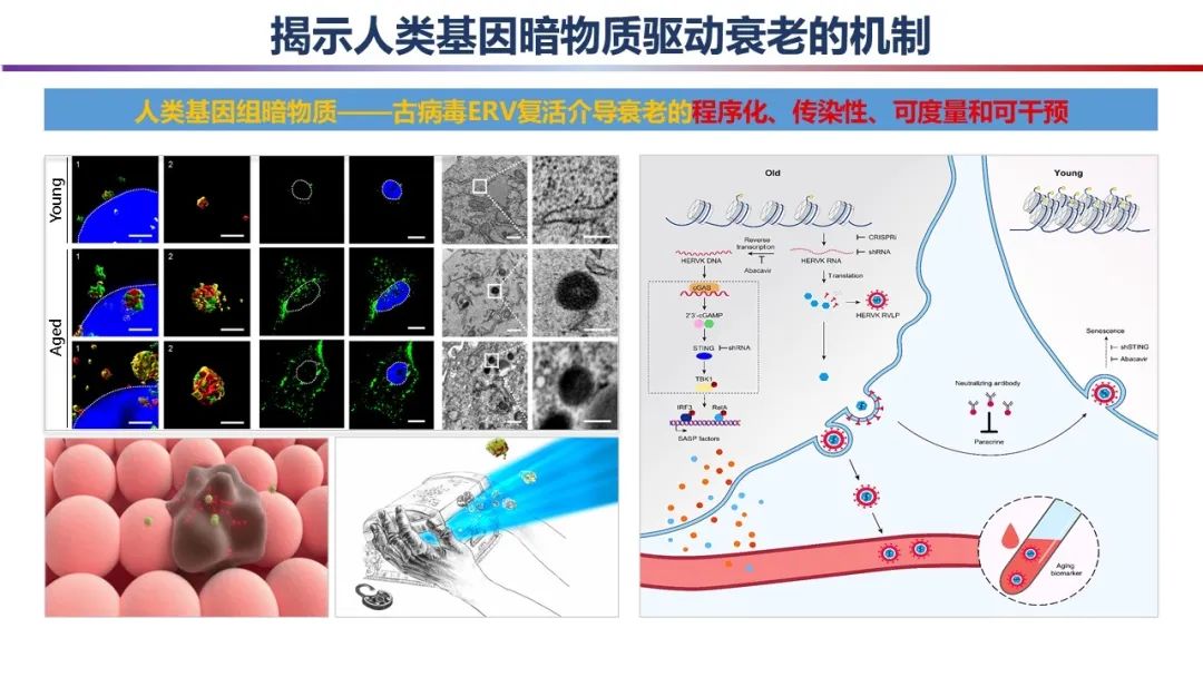 澳门2024资料免费大全_点赞！2023年度中国科学十大进展发布