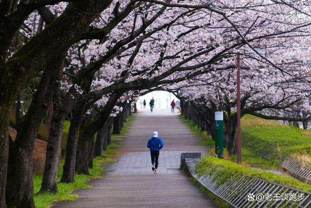 2024澳门正版资料免费大全_一周跑几次、几公里才最健康？你跑对了吗？