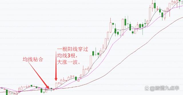 2024年澳门一肖一马期期准,股票的涨跌万变不离“成交量”，散户零基础炒股宝典，反复读懂！