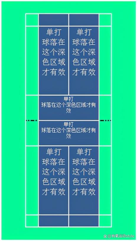 2024新奥资料免费精准051,羽毛球的规则和打法！  第2张