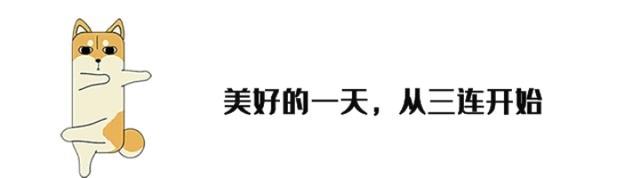 2024澳门正版资料大全免费,年轻力量崛起，乒乓球格局正变革