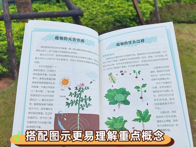 新奥彩资料大全最新版,为什么让孩子学科学是这届家长最紧急的事？原因有三，你要懂  第10张