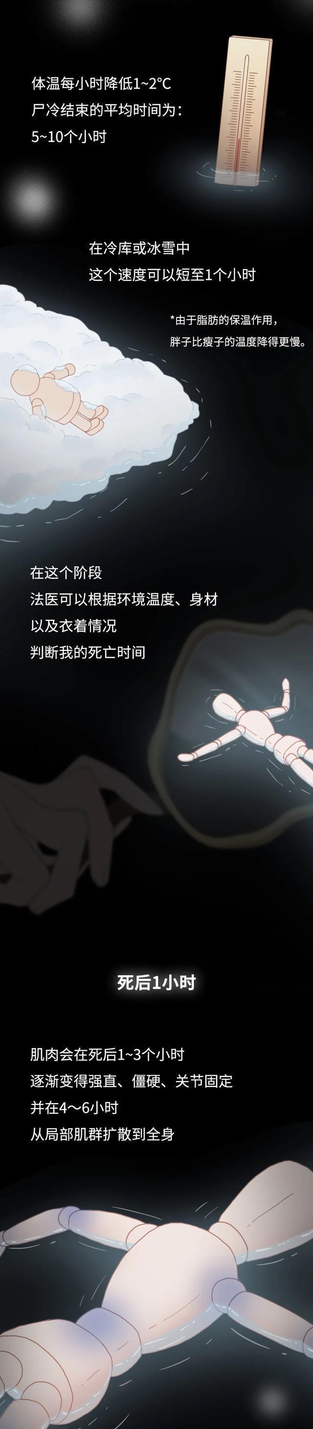 2024澳门天天开好彩大全_人死后不火葬，一年后尸体会变成什么样？漫画科普  第3张