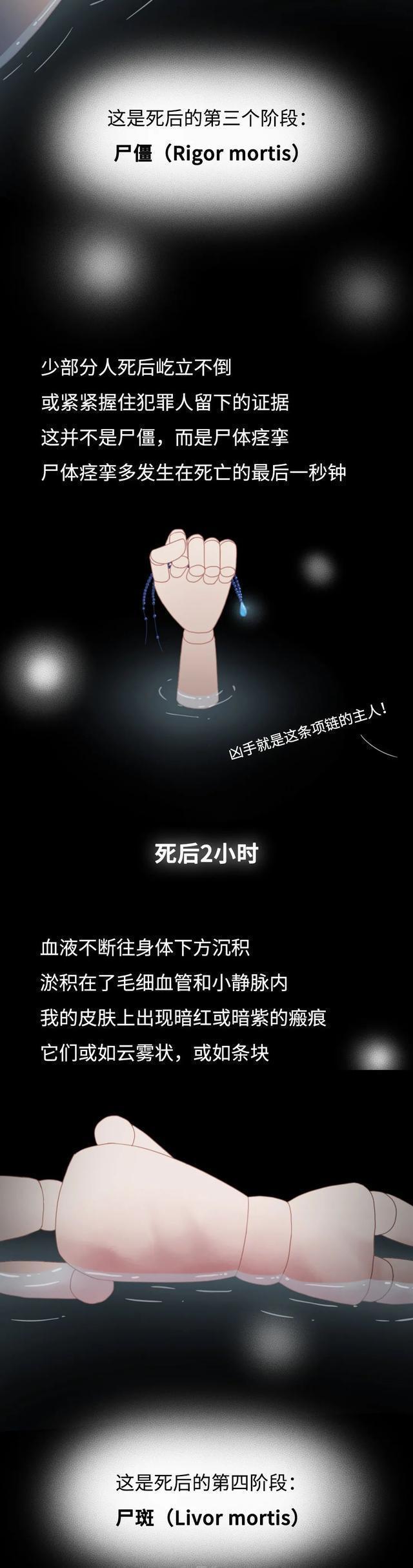 2024澳门天天开好彩大全_人死后不火葬，一年后尸体会变成什么样？漫画科普  第4张