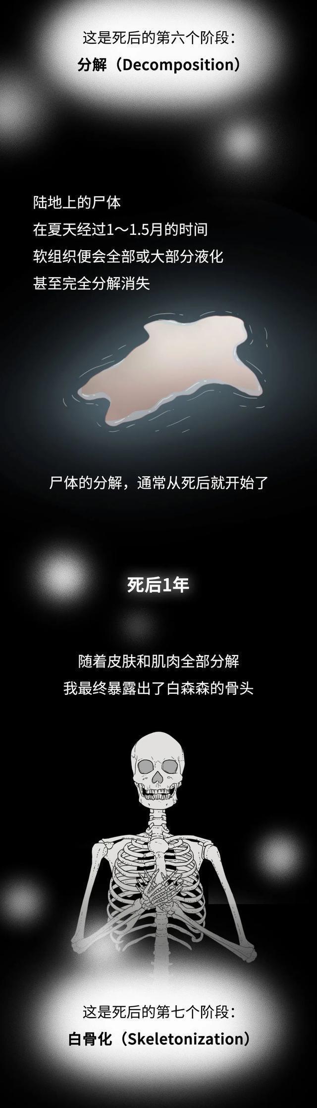 2024澳门天天开好彩大全_人死后不火葬，一年后尸体会变成什么样？漫画科普  第8张