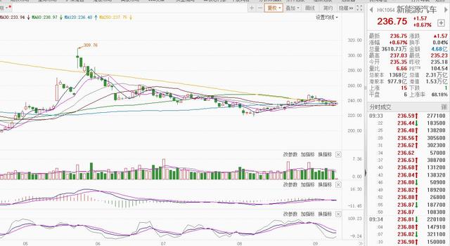 新澳管家婆资料2024年85期,8月新能源汽车销量激增