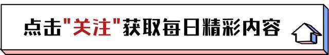 澳门资料大全正版资料查询器,“综艺巅峰”到“跌落神坛”，停播的这三档综艺，究竟都做过什么  第1张