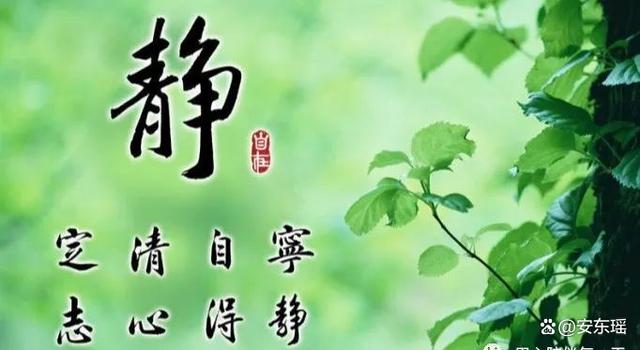 新奥天天免费资料下载安装最新版_余生，放慢脚步，心静如水，品味生活的美好与快乐  第1张