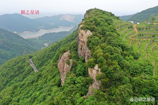 管家婆一码一肖资料大全五福生肖_宁波最大的粉黛花海，中秋国庆网红地，告诉你最美线路  第12张