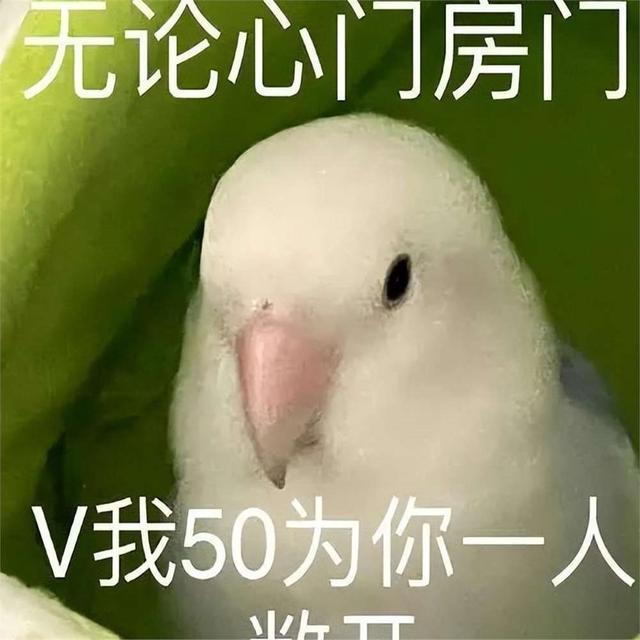 新澳精准资料免费提供彩吧助手_年底手机圈大戏开幕，三折叠屏仅是序章，更多精彩即将上演  第29张