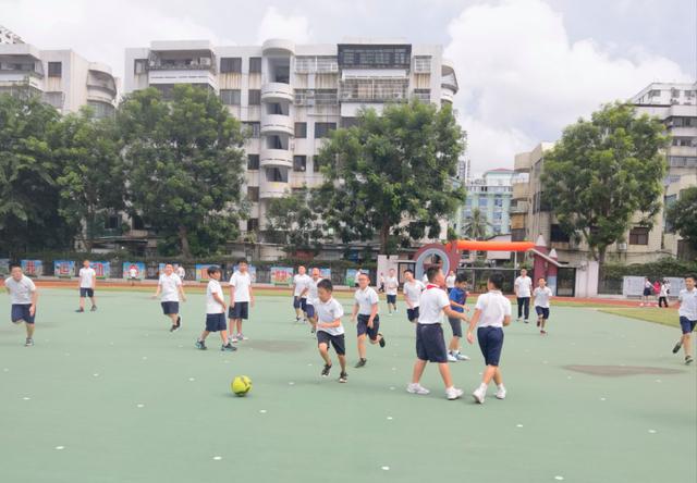 新奥门资料大全免费新鼬_新起点，梦想启动：全国多地中小学迎来开学  第3张