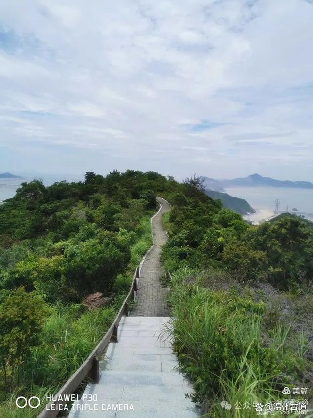 新澳门王中王资料公开,天气渐凉，温州这条私藏了绝美网红打卡点的健身步道，可以走起了  第33张