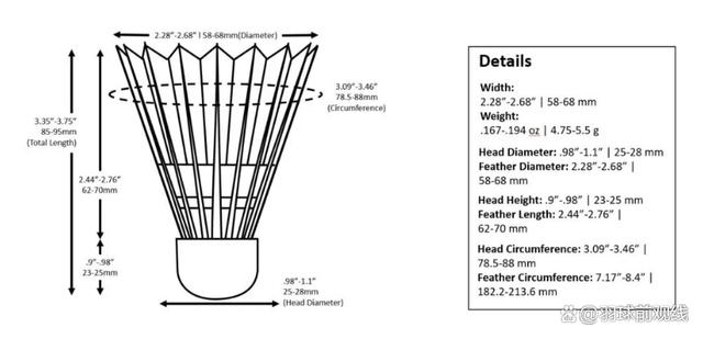 新澳精准资料免费提供彩吧助手,羽球百科｜羽毛球有多少根羽毛？一探究竟  第2张