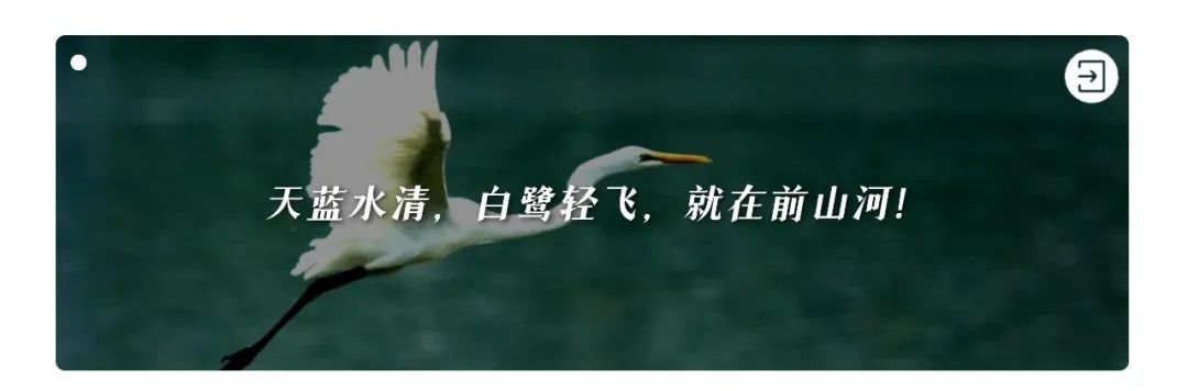 新奥彩2024年免费资料查询_最新！全市中小学幼儿园停课！  第16张