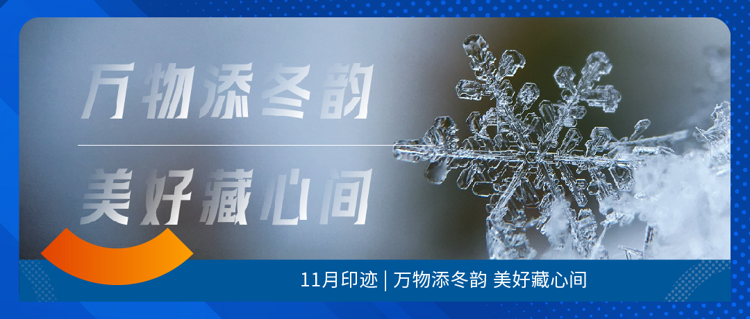 新奥彩2024年免费资料查询,12月热点动态资讯速递｜从一片雪花开始，旦愿美好常驻心间  第29张